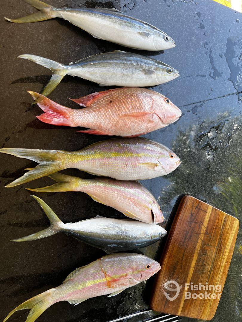 Captain Donald is great!!