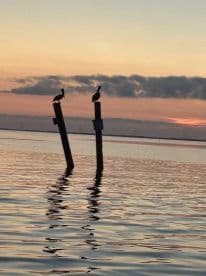 Silhouettes of pelicans perched on wooden posts at sunset, reflecting in calm waters.