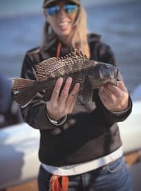 Angler proudly displaying a large Black Sea Bass while fishing on a sunny day.