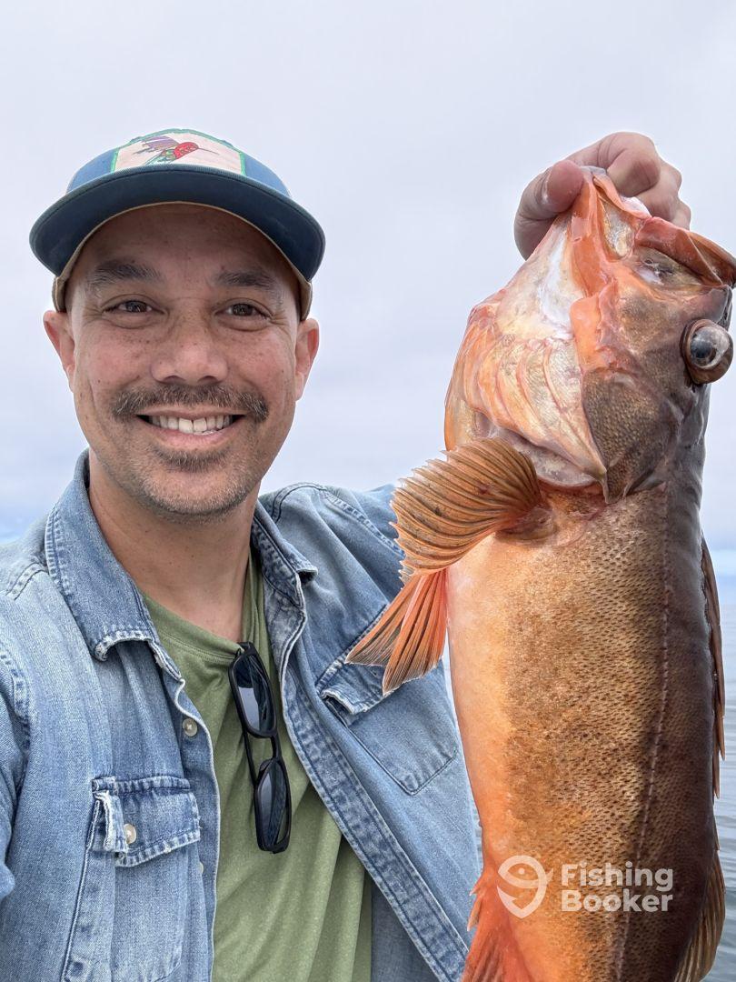 Fun half day afternoon