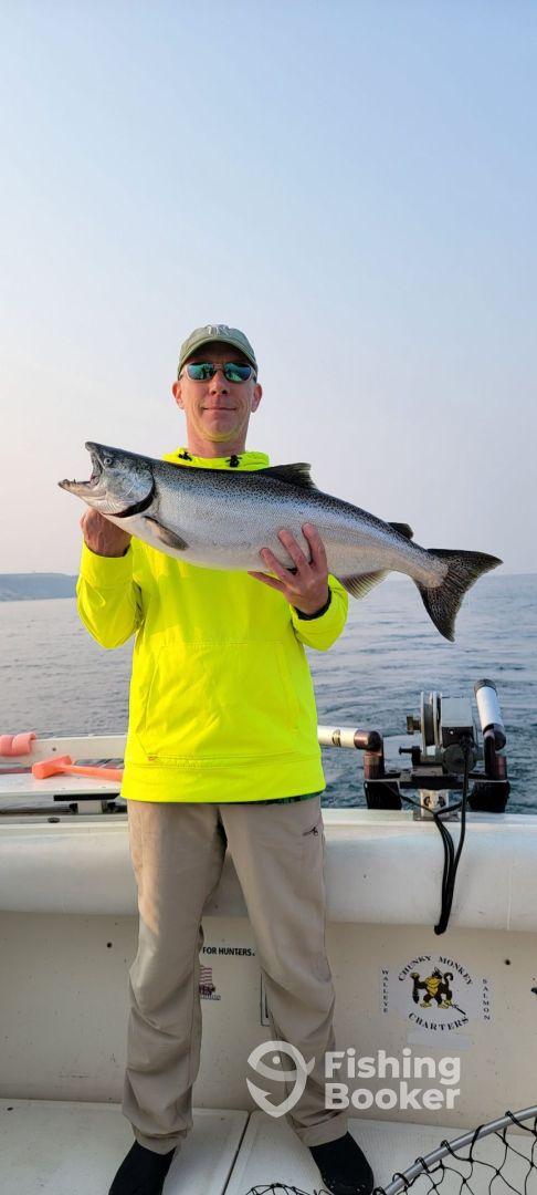 No small salmon here!!