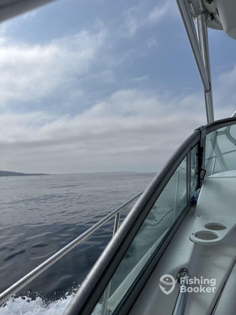 Interior view of a fishing boat showcasing the helm and seating area, with calm waters and a cloudy sky in the background.