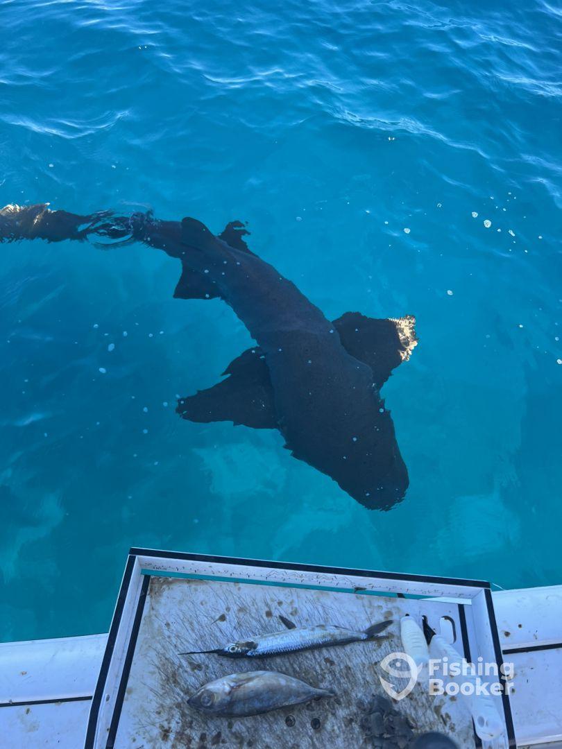 Nice day in the water 