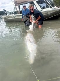 Two anglers, including a young boy, are working together to reel in a large catfish in shallow water near their boat.