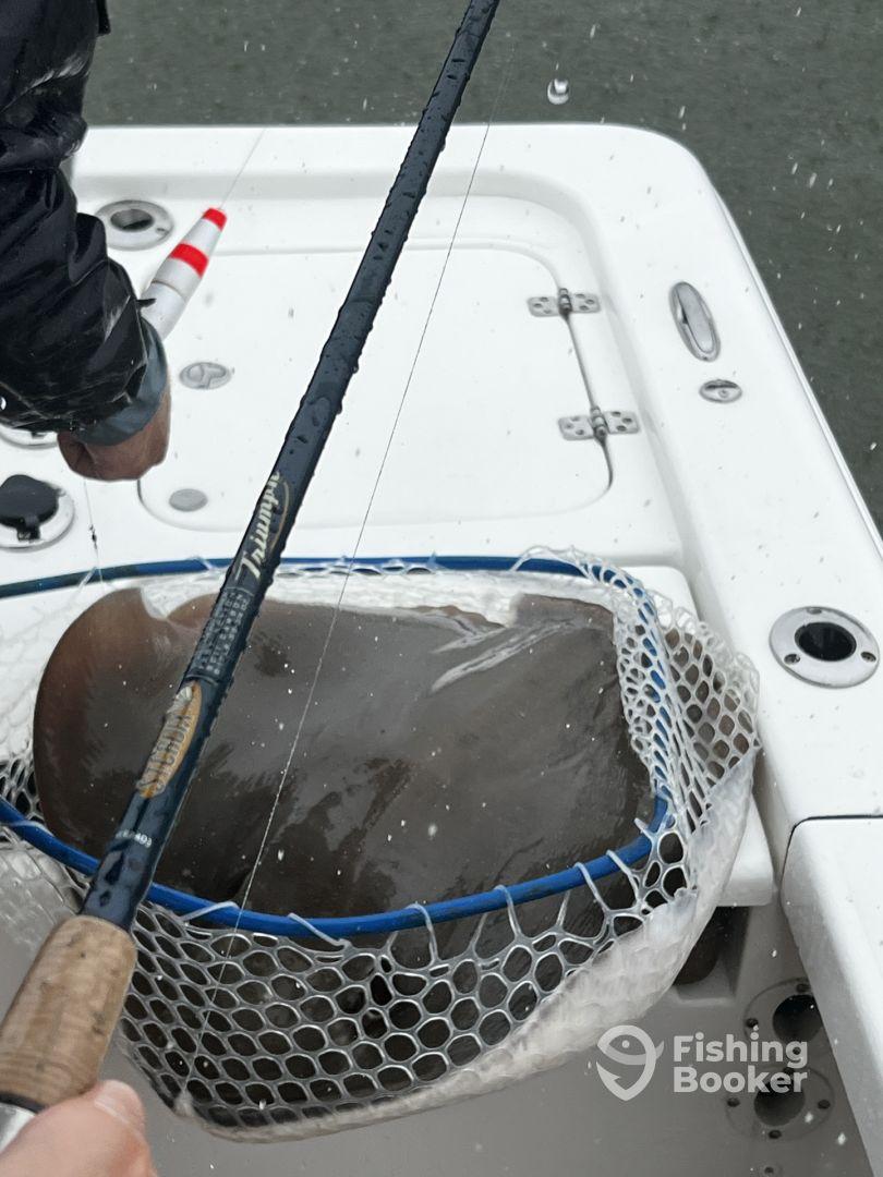 An angler reeling in a catch from a fishing boat, showcasing the excitement of fishing in a rainy environment.