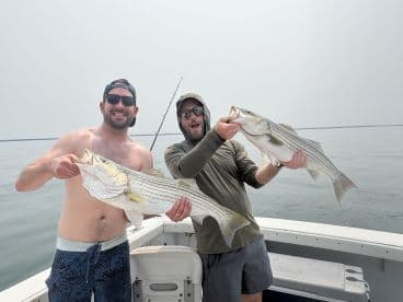 Two anglers proudly displaying their catch of striped bass while fishing on a calm lake.