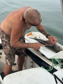 An angler filleting a freshly caught fish on a boat, showcasing the fishing process in a calm water environment.