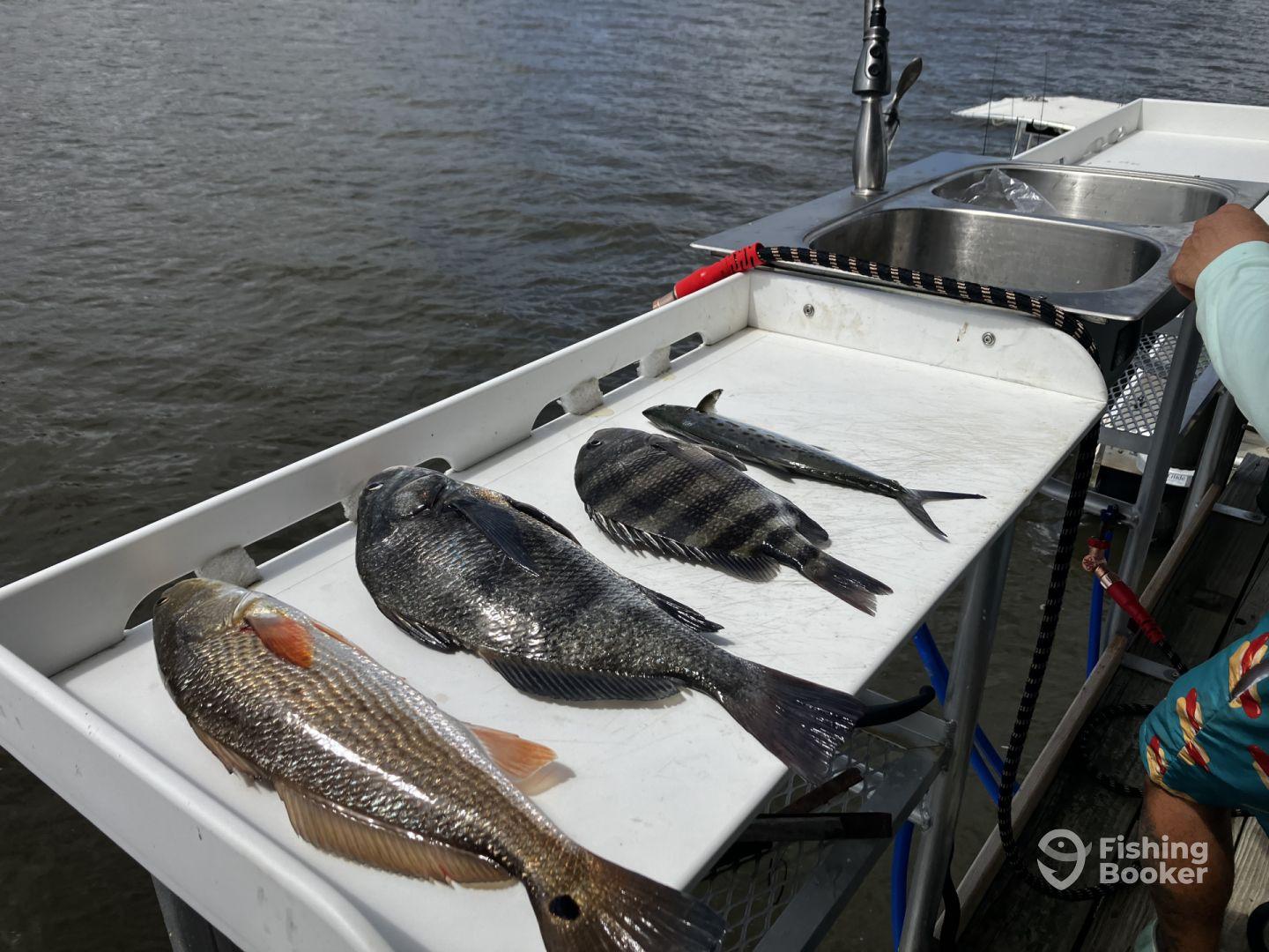 Awesome fishing trip