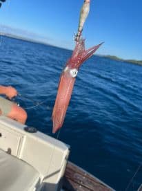 A squid is caught on a line while fishing from a boat, showcasing the excitement of the catch in a vibrant blue ocean.