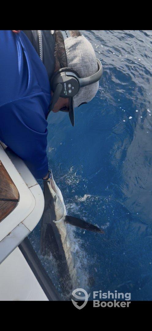 Making Dreams come true - Amazing day