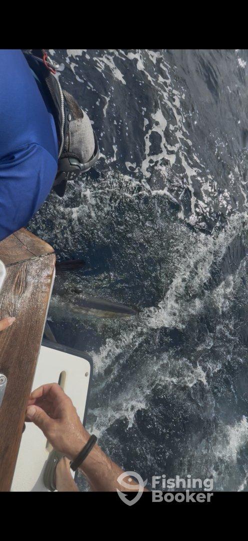 Making Dreams come true - Amazing day