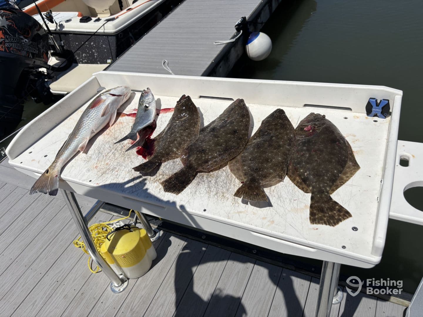 A variety of fish including Flounder and Snapper displayed on a cleaning table at a dock, showcasing a successful fishing trip.