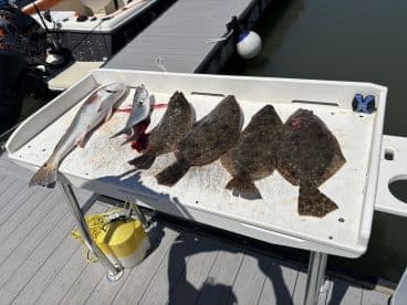 A variety of fish including Flounder and Snapper displayed on a cleaning table at a dock, showcasing a successful fishing trip.