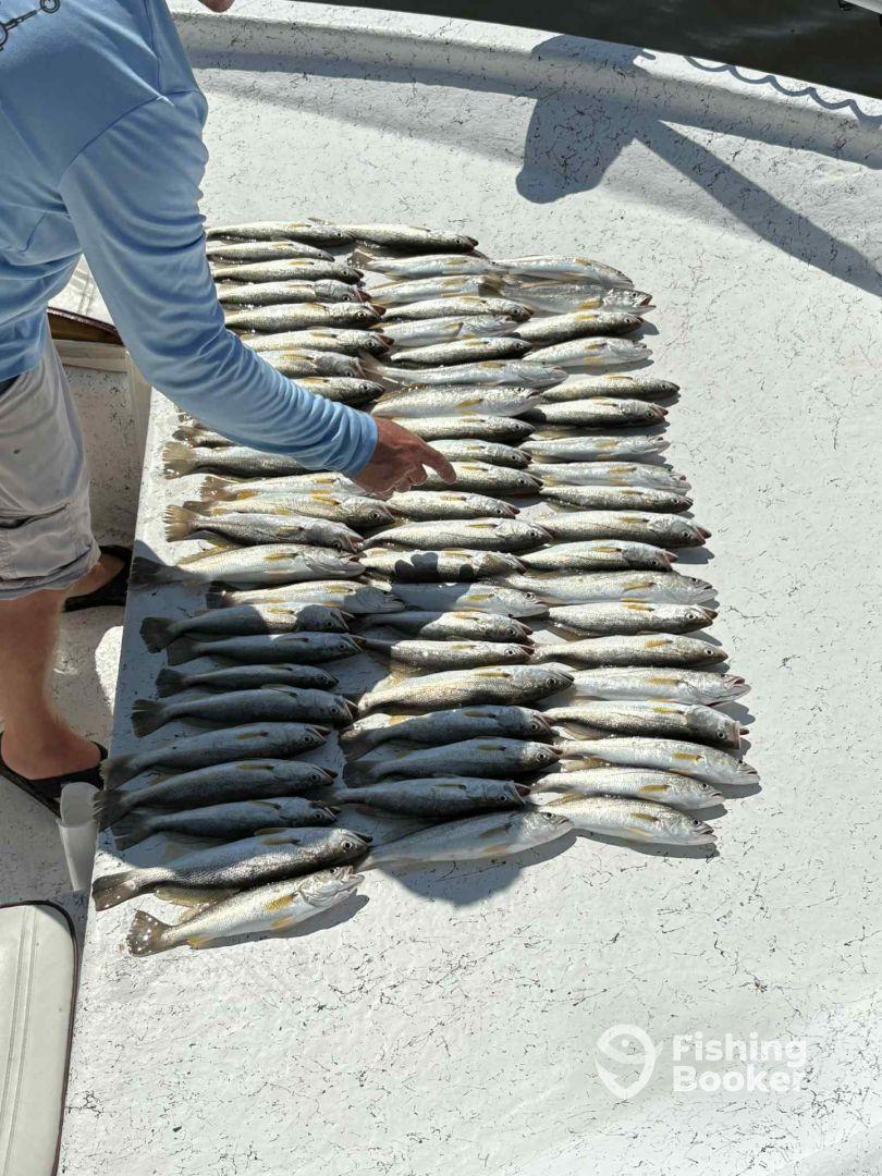 Great captin and deck hand !