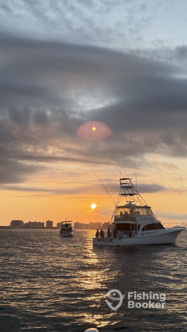 The fishing boat 'MOLLIE' is silhouetted against a stunning sunset, with another boat in the background, creating a picturesque scene on the water.