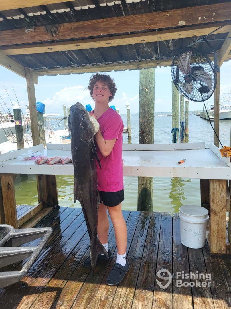 Young angler proudly holding a large Cobia at the dock after a successful fishing trip.
