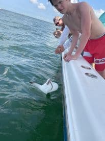 A young angler is reeling in a fish while fishing from a boat, showcasing an exciting moment on the water.