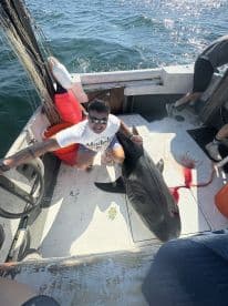 An angler proudly displaying a large shark on a fishing boat, showcasing the excitement of deep-sea fishing.