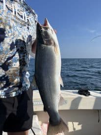 A young angler proudly displaying a large Salmon while fishing on a boat, showcasing a successful day on the water.