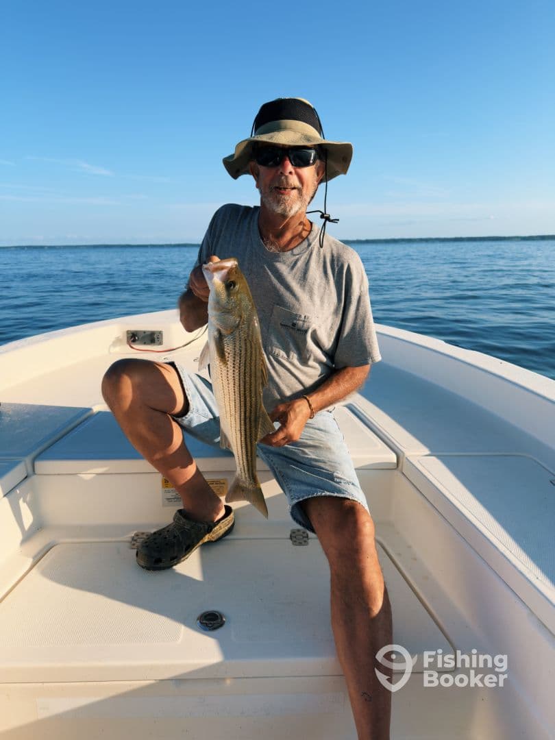 An angler proudly displaying a striped bass while seated on a boat, enjoying a day of fishing in calm waters.