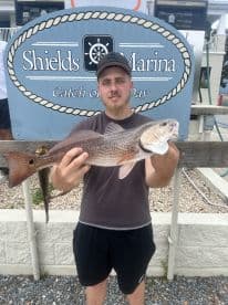 An angler proudly displaying a Redfish at Shields Marina, showcasing a successful day of fishing.