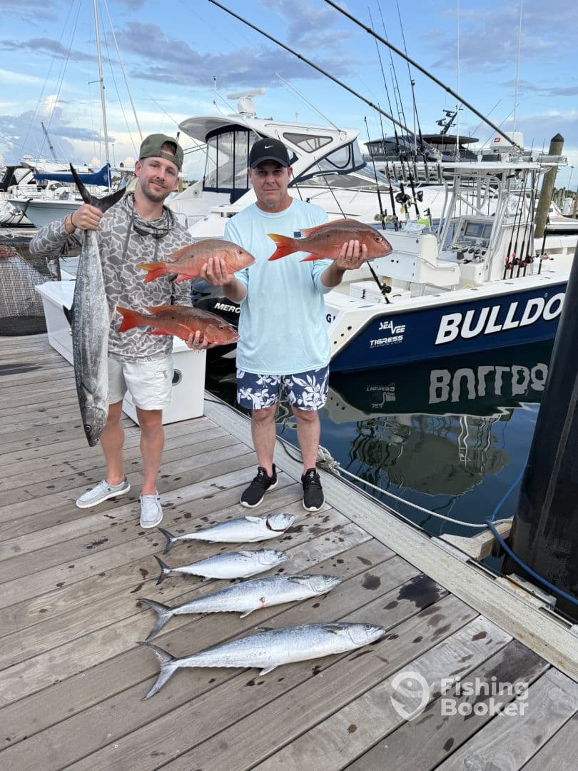 Two anglers proudly displaying their catch of Snapper and Kingfish on the dock, with the 'BULLDOG' charter boat in the background.
