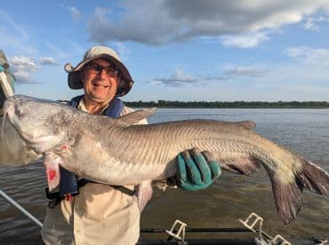 An angler proudly displaying a large Catfish while fishing on a river, showcasing a successful catch during a sunny day.