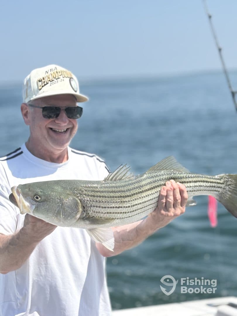 An angler proudly displaying a large striped bass while fishing on a sunny day.