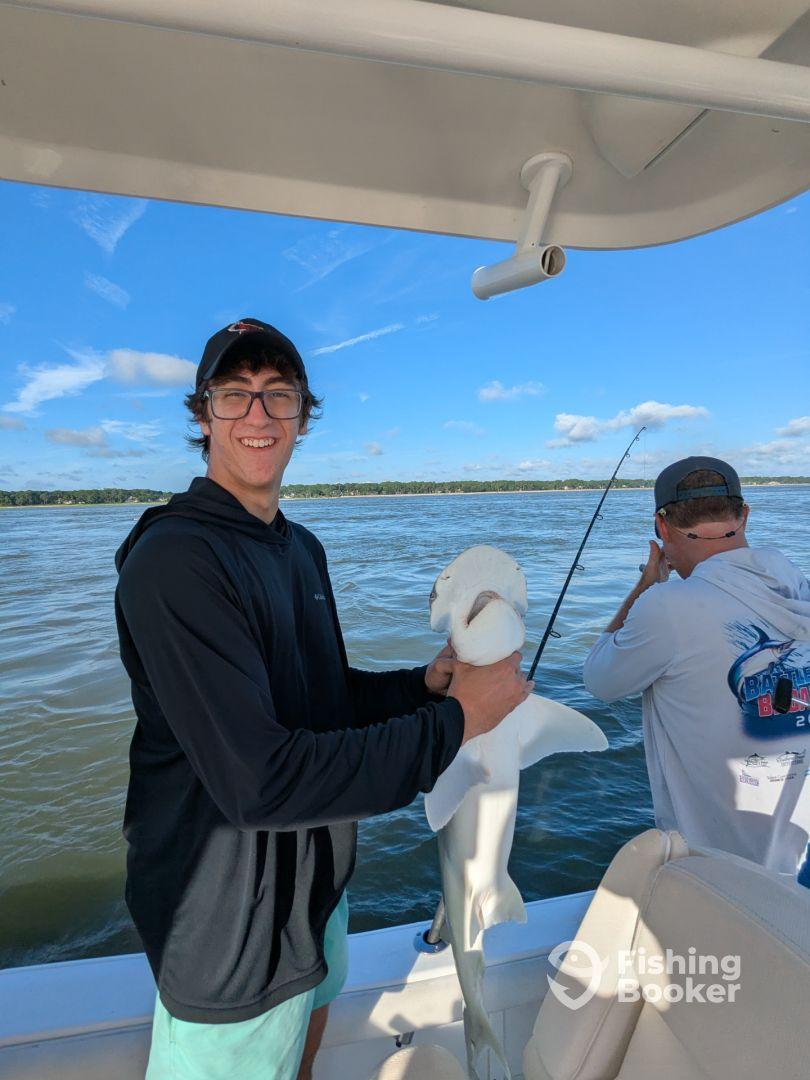 Sharks? Did you say sharks?