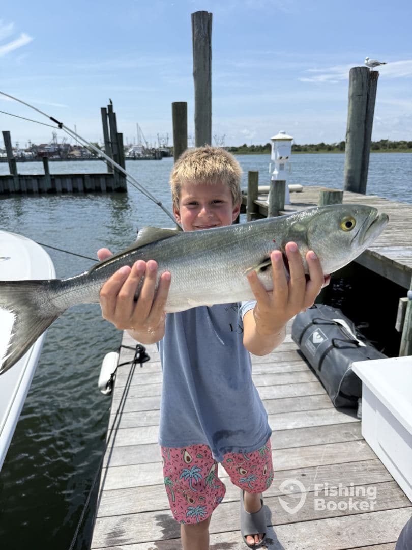 A young angler proudly displaying a large Bluefish at the dock, showcasing a successful fishing trip.