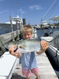 Young angler proudly holding a large Bluefish at the dock after a successful fishing trip.