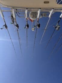 A view of multiple fishing rods secured in rod holders on a boat, set against a clear blue sky, showcasing the boat's fishing readiness.