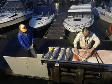 Two anglers preparing freshly caught fish on a cleaning table at the dock, showcasing a variety of species after a successful fishing trip.