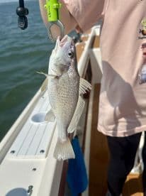 A young angler proudly displaying a freshly caught fish while fishing on a boat.
