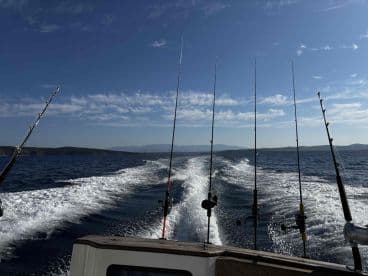 View from the back of a fishing boat, showcasing multiple fishing rods as it speeds through open waters, with a scenic backdrop of hills and a clear blue sky.