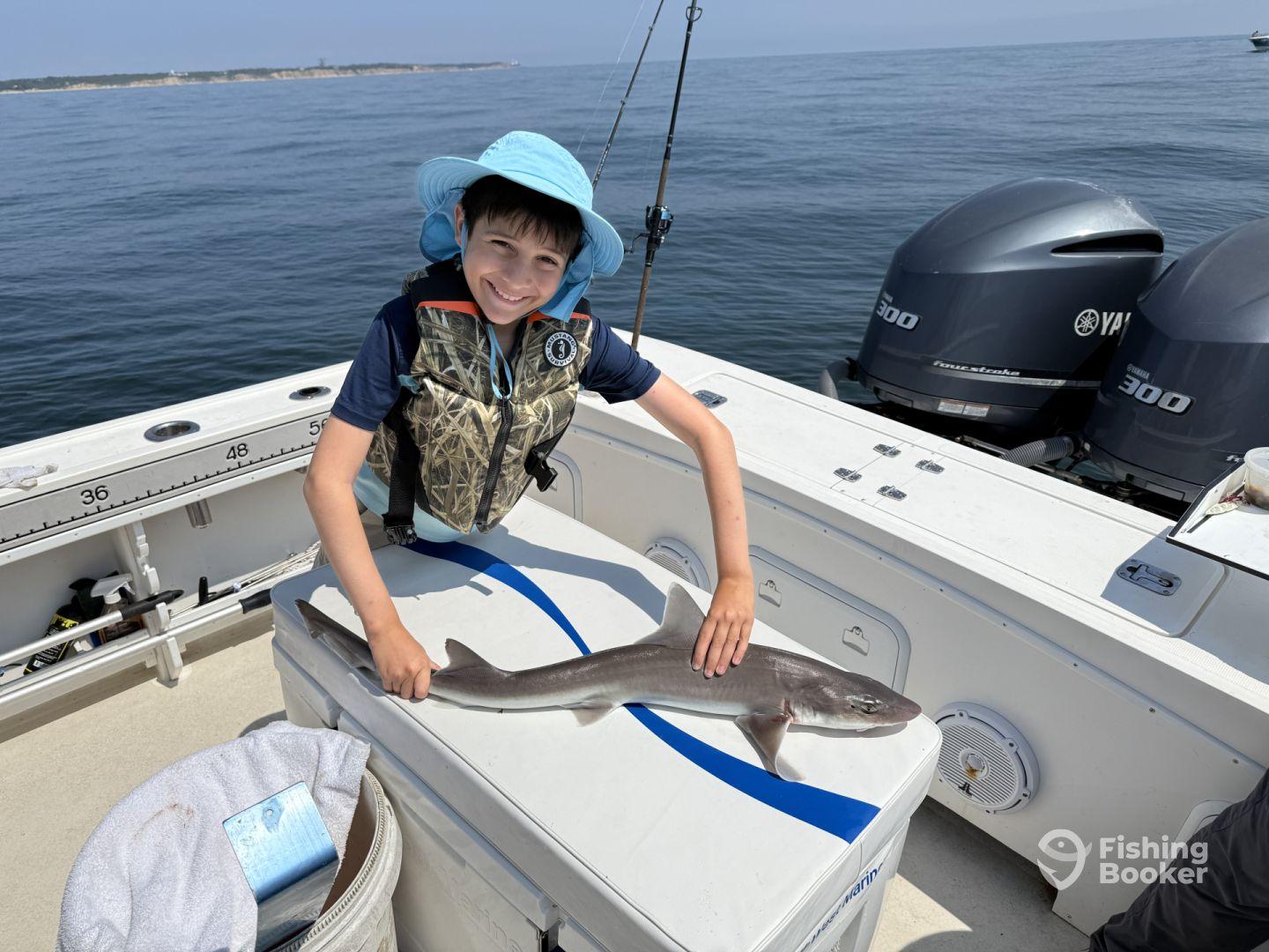 Professional and Effective