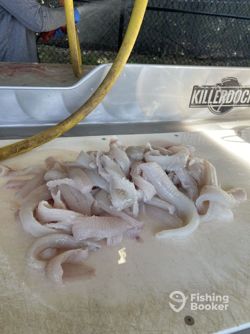 Freshly filleted fish laid out on a cleaning station, showcasing the catch from a recent fishing trip.