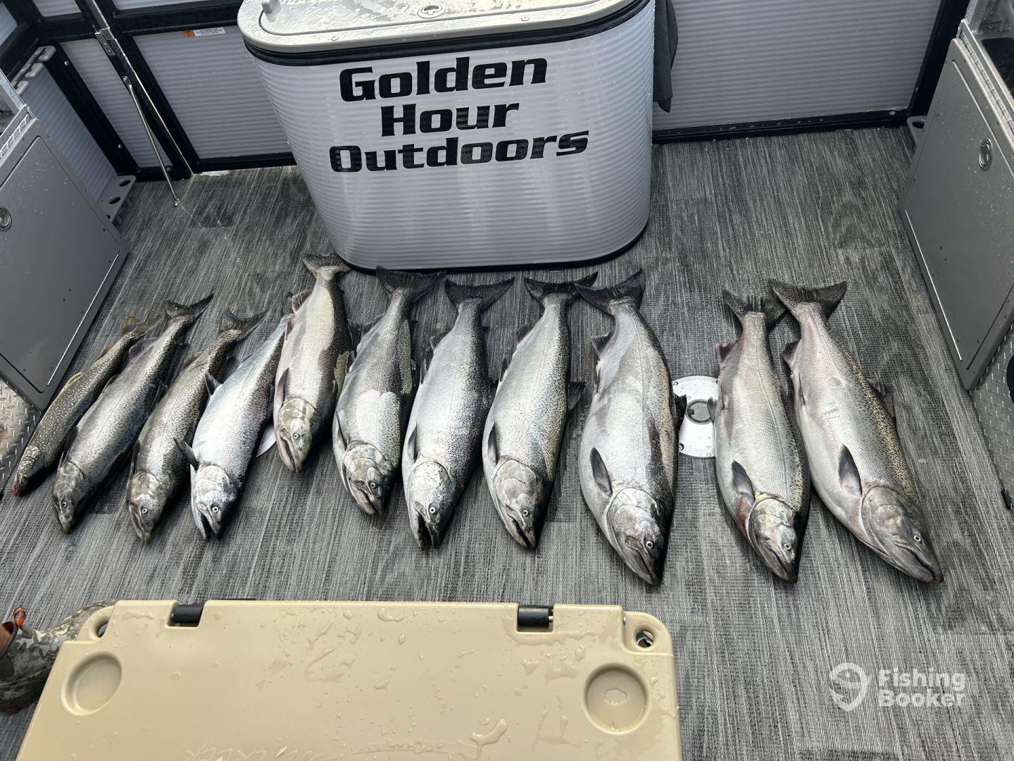 Great communication on short notice!!