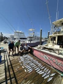 A group of anglers proudly displaying a large catch of fish on a dock at Carolina Beach, showcasing their successful fishing trip.