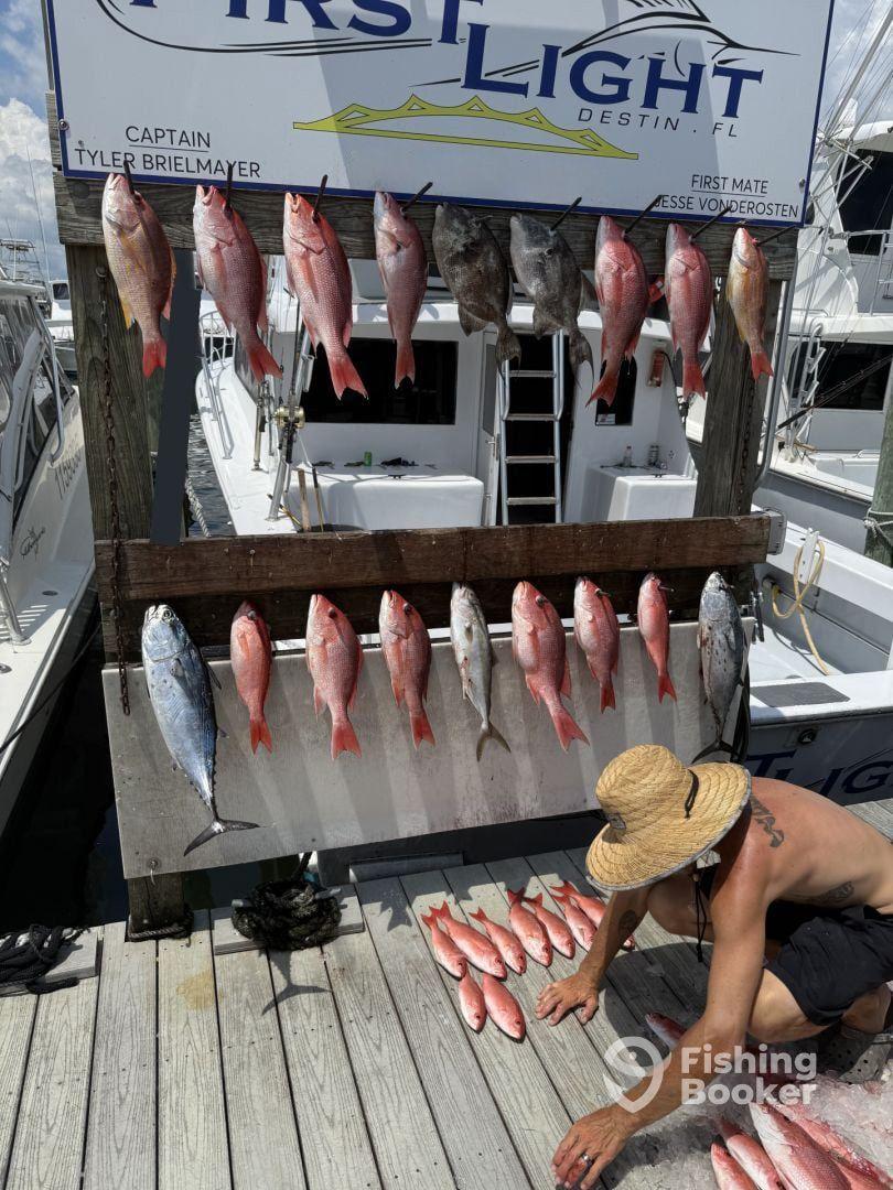 Tired of catching fish