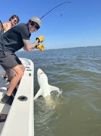 Angler reeling in a shark while fishing from a boat in a sunny coastal environment.