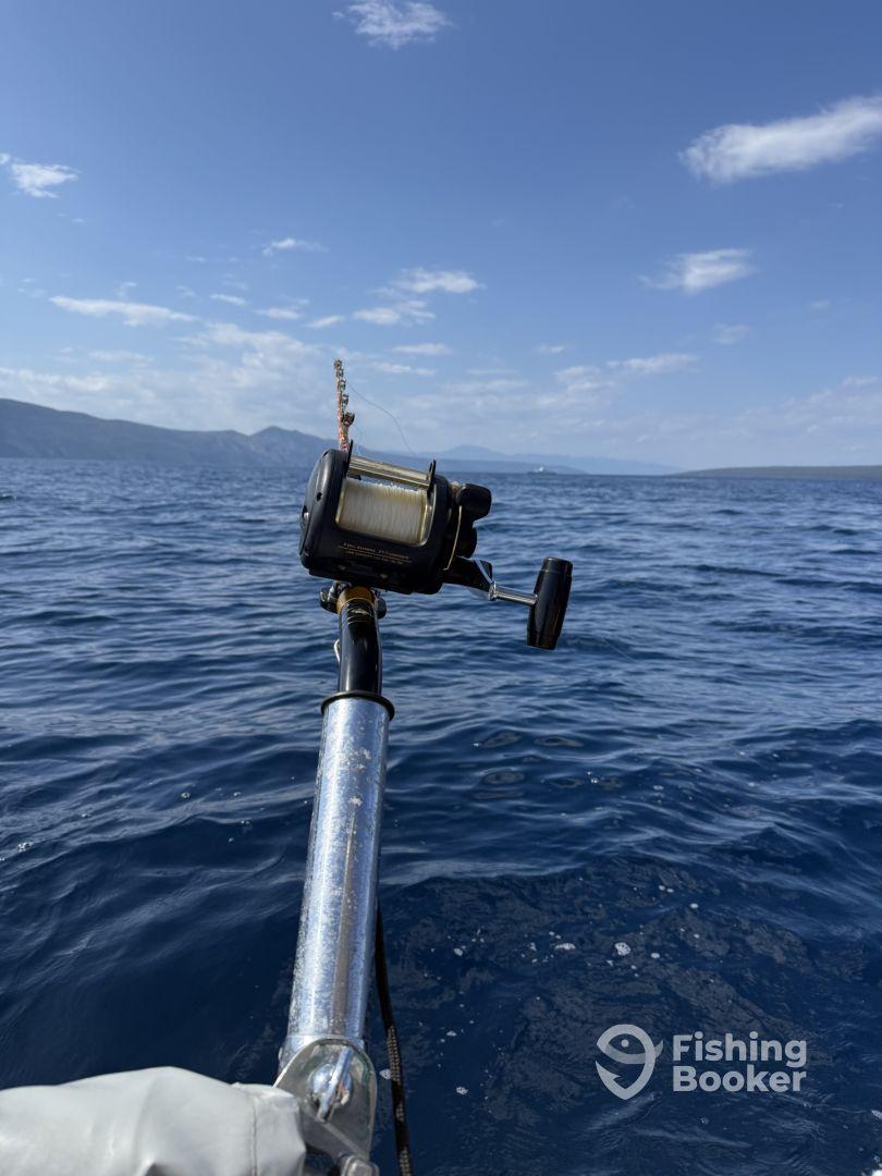 Mehr als alle Wünsche erfüllt👍