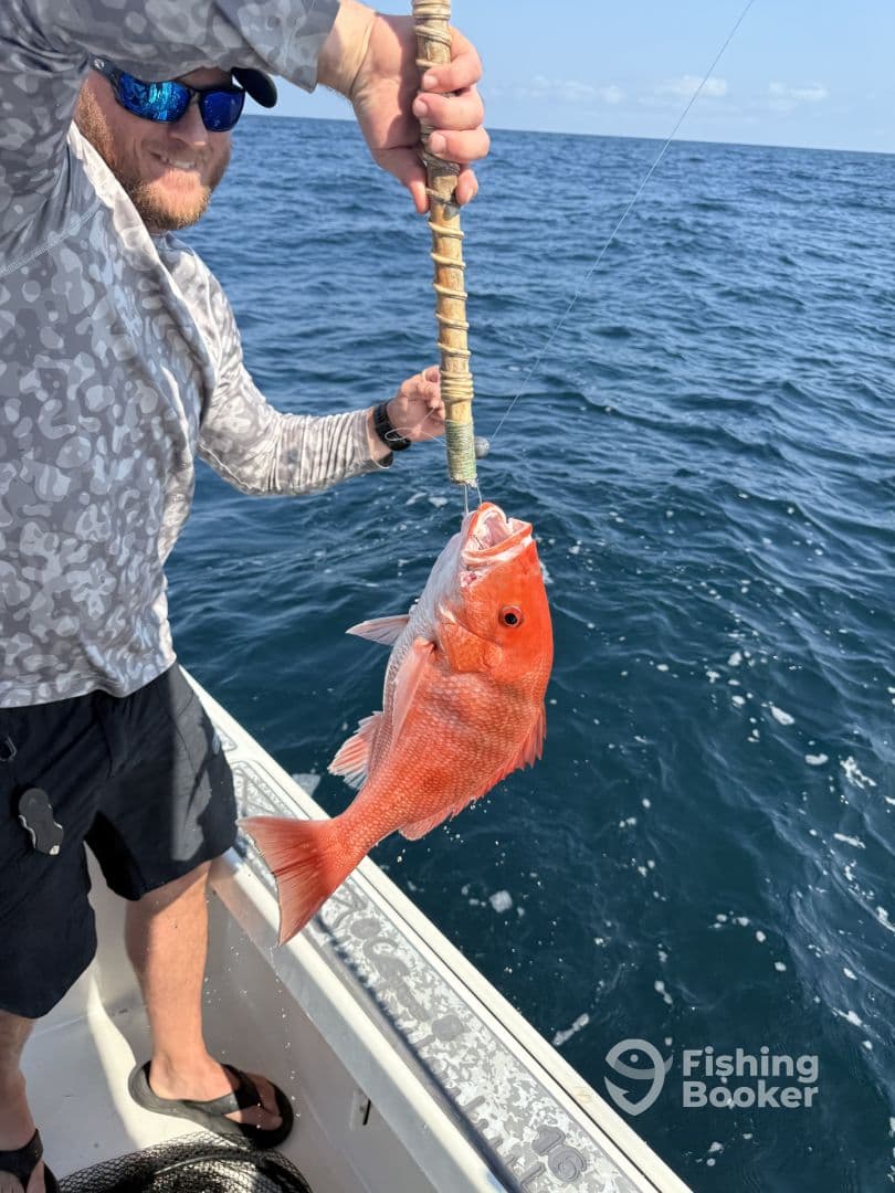 Angler reeling in a vibrant Red Snapper while fishing offshore, showcasing the excitement of the catch.