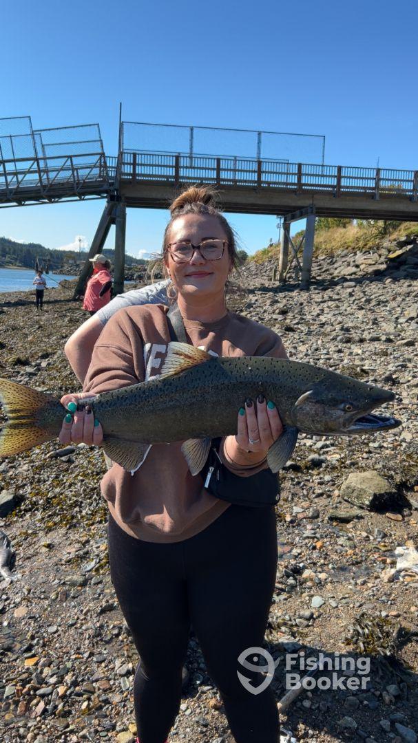 Angler proudly displaying a large Salmon on the rocky shore, with a pier in the background, during a sunny fishing trip.