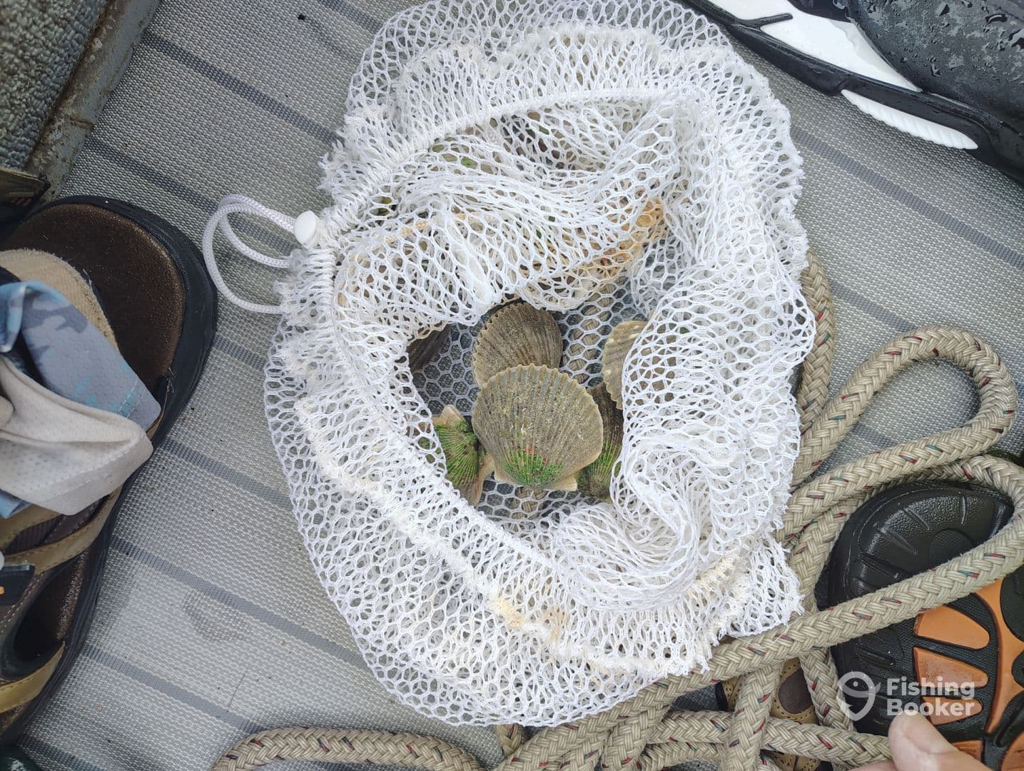 A mesh bag containing freshly caught scallops resting on the deck of a fishing boat, showcasing the day's catch.