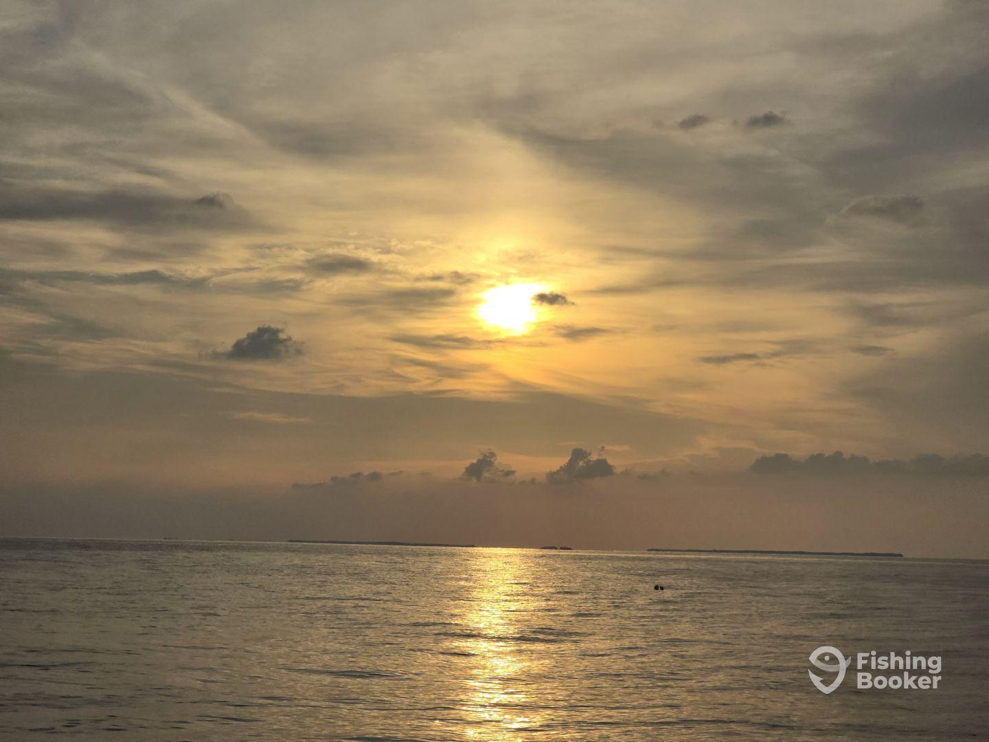 Absolutely great!!!!