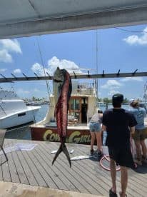 A large Mahi Mahi is displayed on a catch board while anglers prepare their catch on the dock after a successful fishing trip.