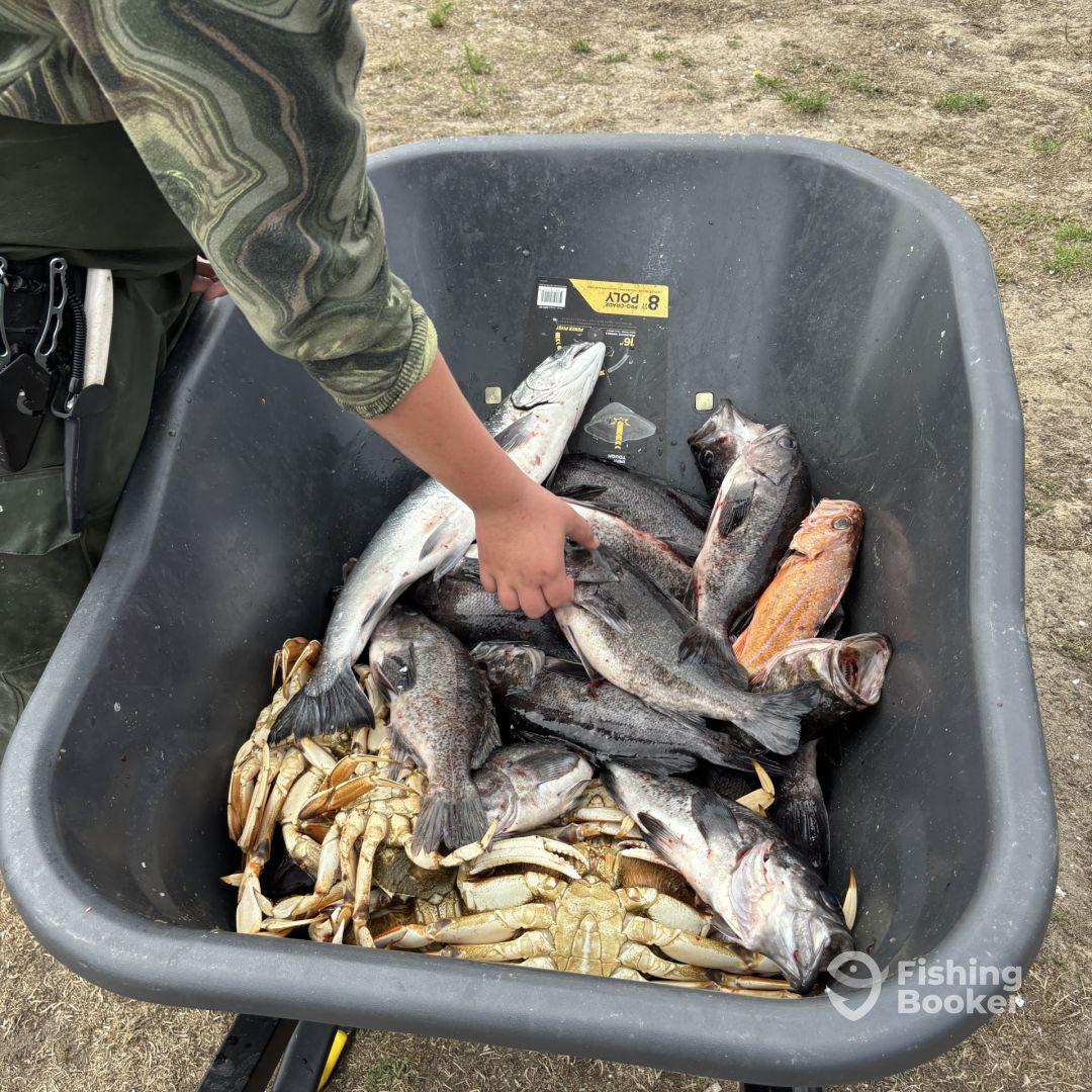 A young angler sorting through a large haul of fish and crabs in a storage bin after a successful fishing trip.