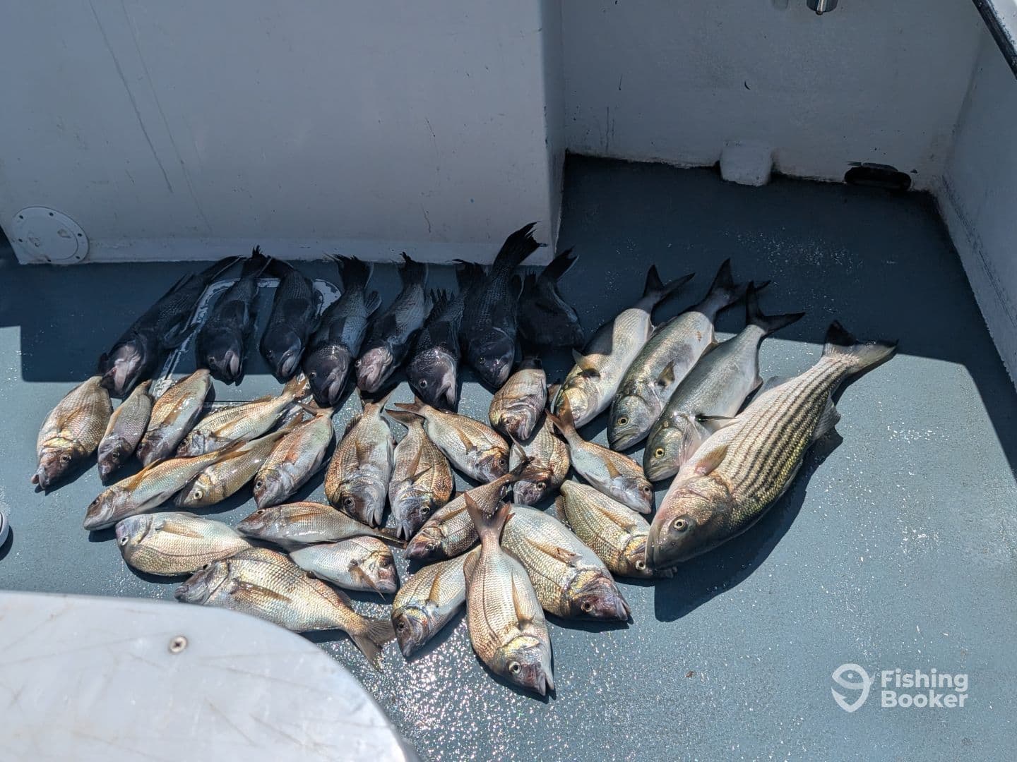 August fishing trip