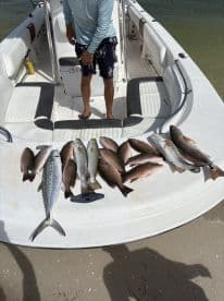A variety of fish including a large King Mackerel displayed on the side of a boat after a successful fishing trip.
